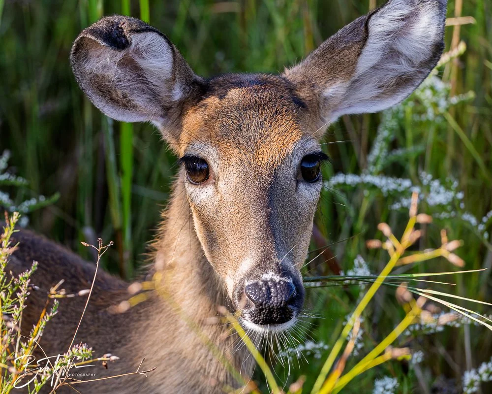 20251008-St Andrews SP -17.jpg