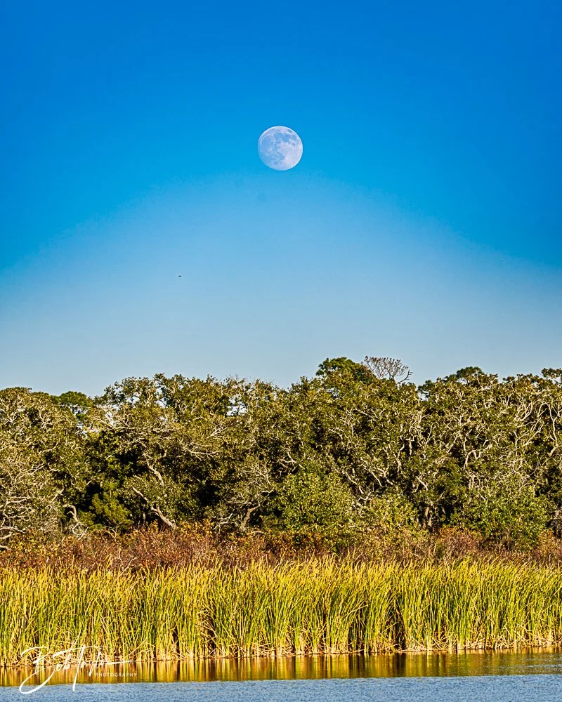 20251103-SASP Gator Lake -17.jpg