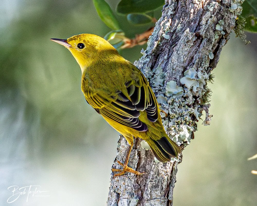 20251008-St Andrews SP -13.jpg