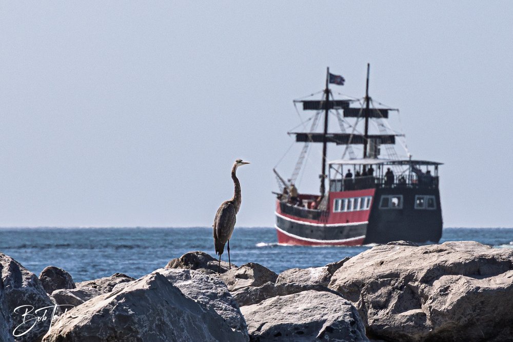 20251008-St Andrews SP -29.jpg