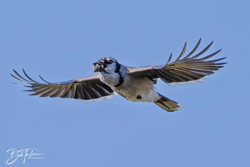 20251008-St Andrews SP -5.jpg