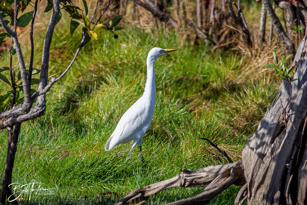 20251008-St Andrews SP -14.jpg