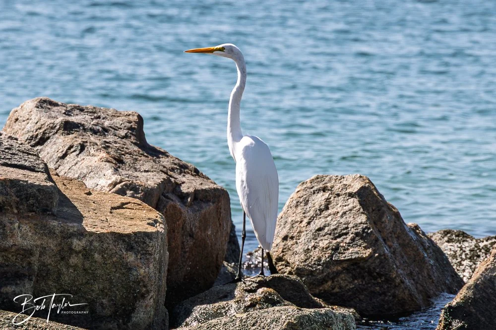 20251008-St Andrews SP -27.jpg