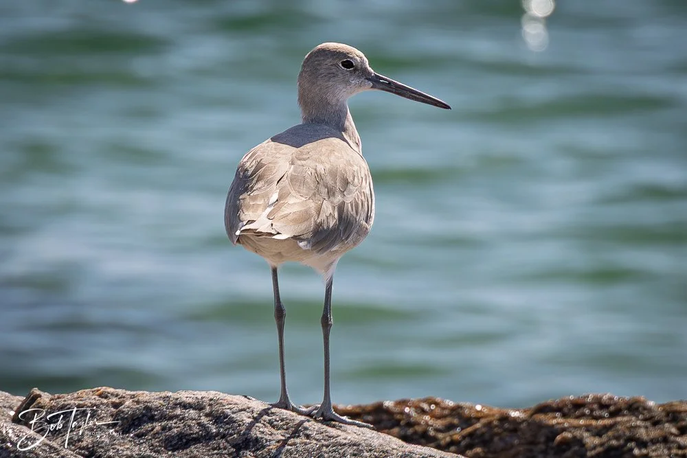 20251008-St Andrews SP -28.jpg