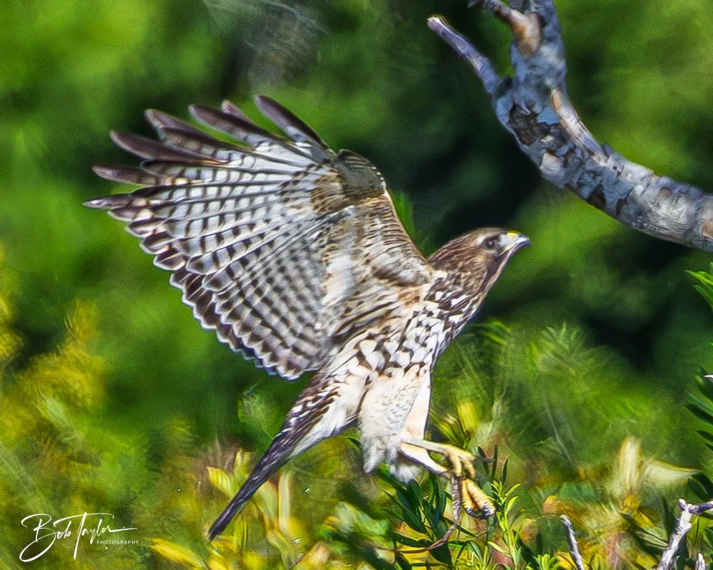 20251008-St Andrews SP -19.jpg