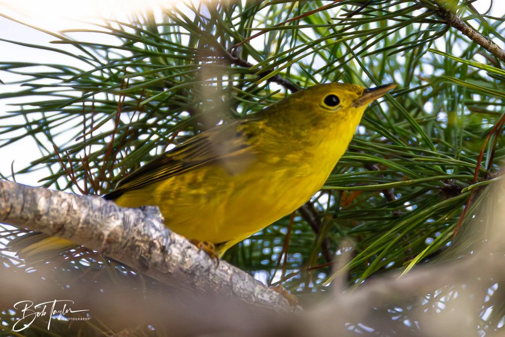 20251008-St Andrews SP -11.jpg