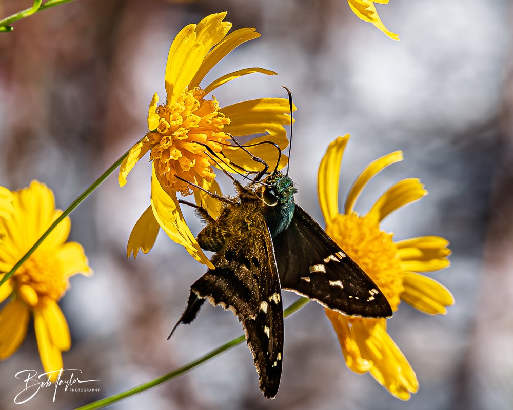 20251008-St Andrews SP -22.jpg