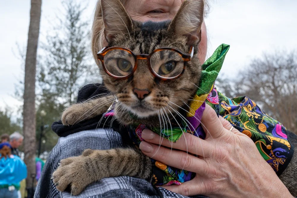 20250223-Mardi Gras Dogs -20.jpg