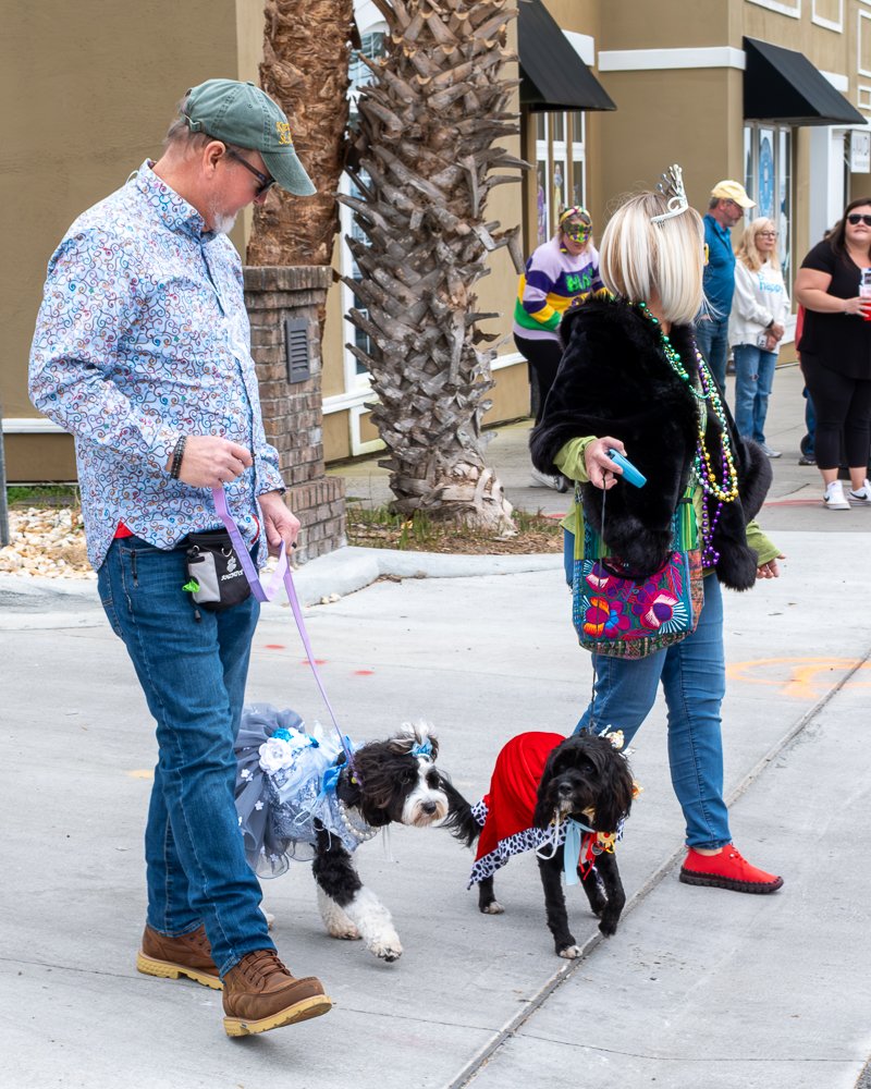 20250223-Mardi Gras Dogs -29.jpg