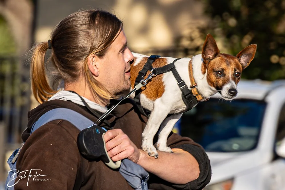 20250221-Mardi Gras Parade -4.jpg