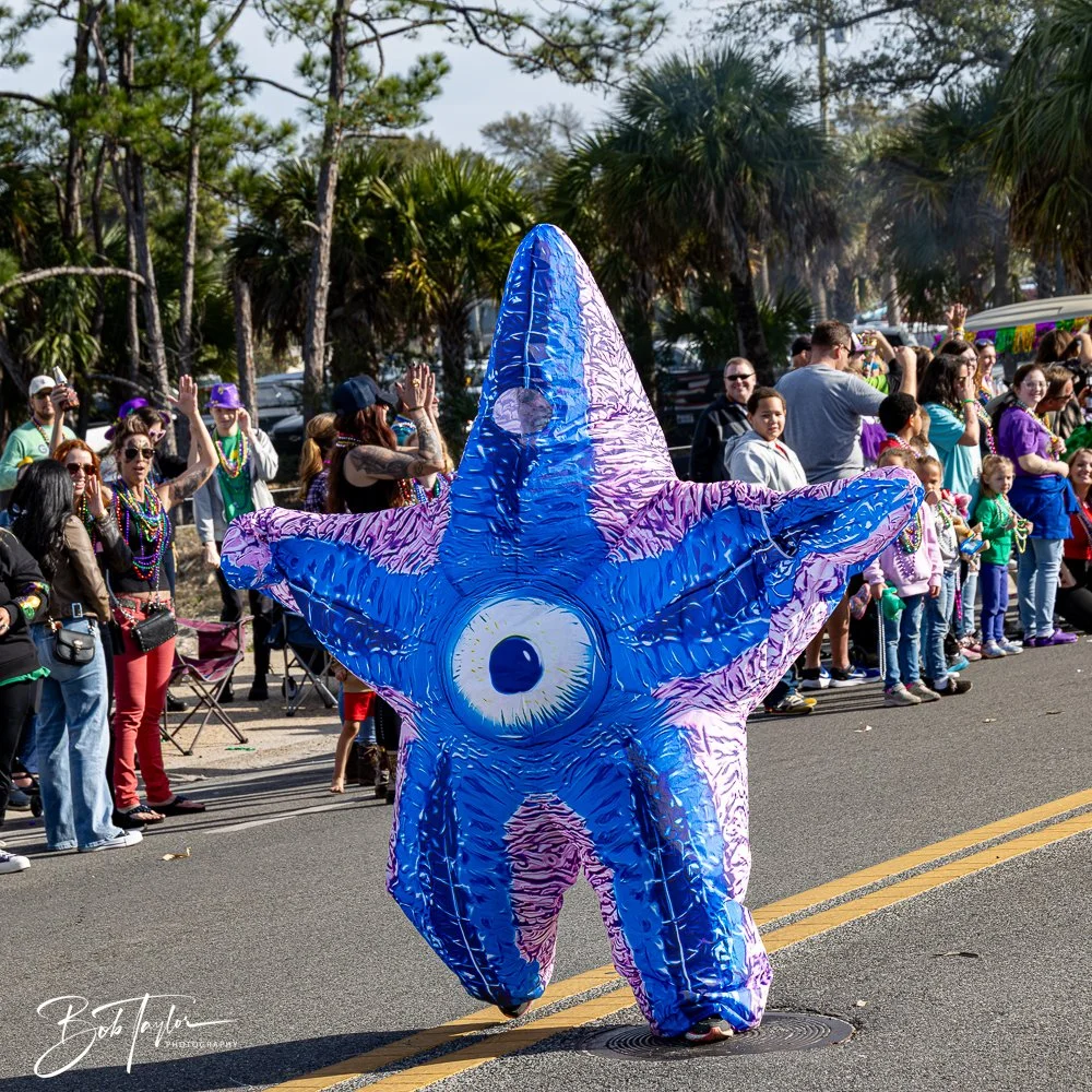 20250222-Mardi Gras Parade -37.jpg