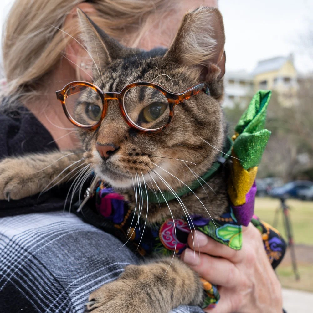 20250223-Mardi Gras Dogs -21.jpg