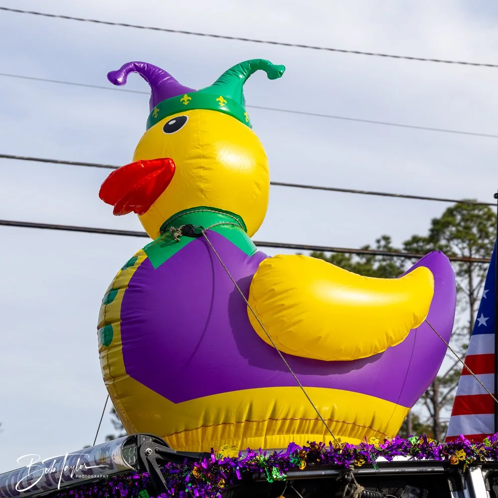 20250222-Mardi Gras Parade 4 -47.jpg