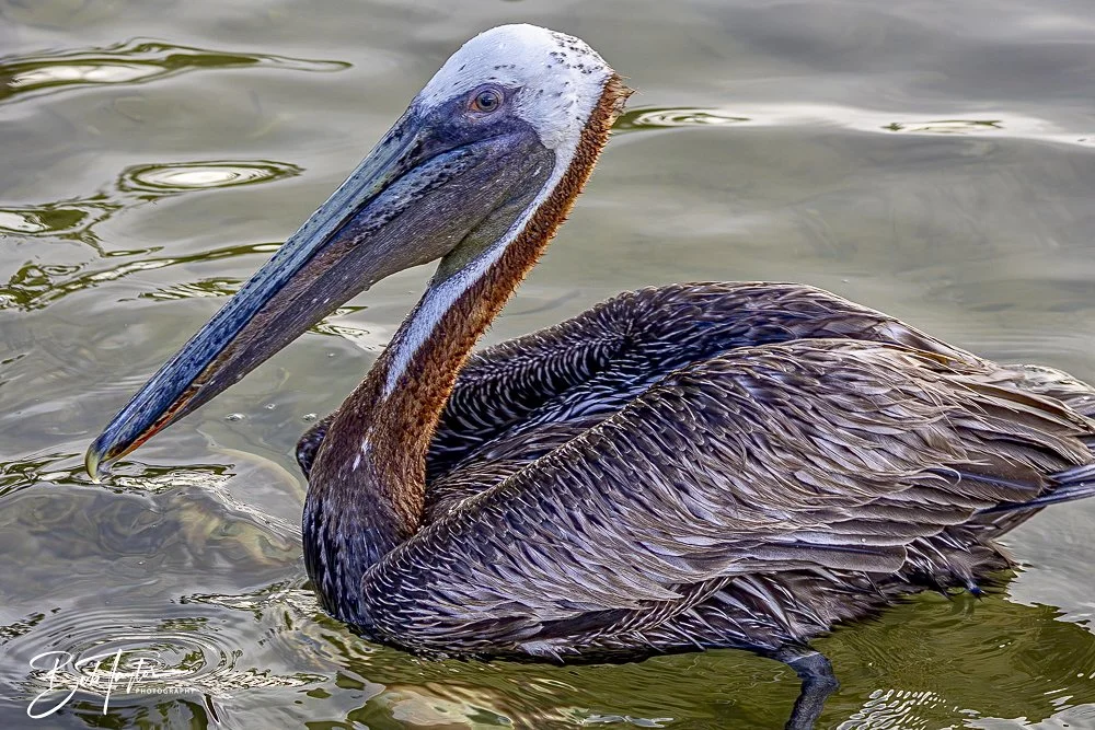 20240628-SASP People -11 (1).jpeg