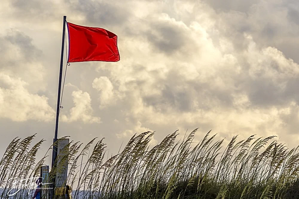 20240628-SASP People -21.jpeg