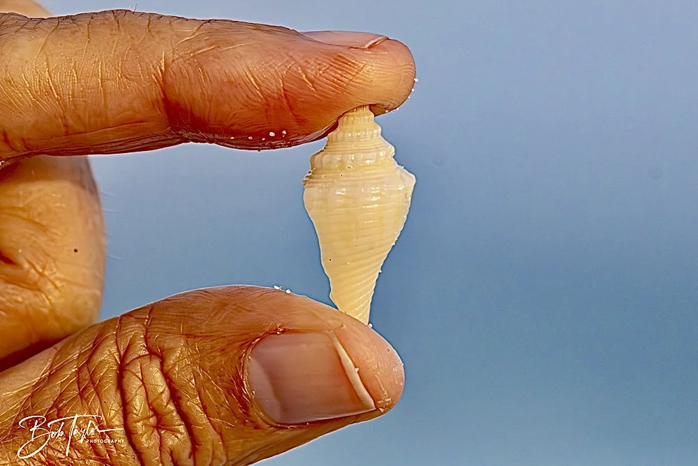 20240625-SASP People -1.jpeg