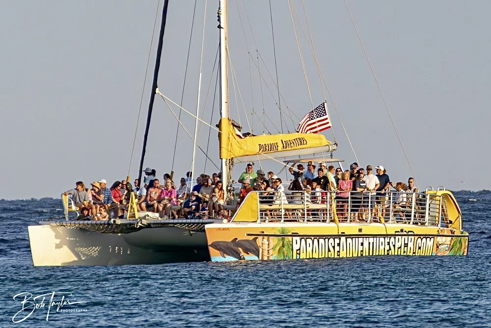 20240613-SASP Jun 24 -35.jpeg