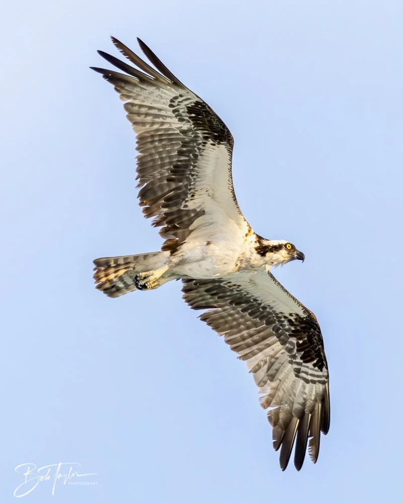 20240613-SASP Jun 24 -42.jpeg