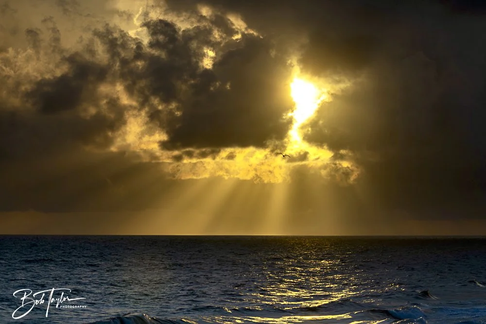 20240628-SASP People -26.jpeg