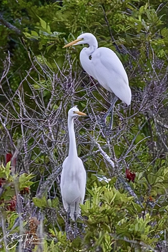 20240613-SASP Jun 24 -58.jpeg