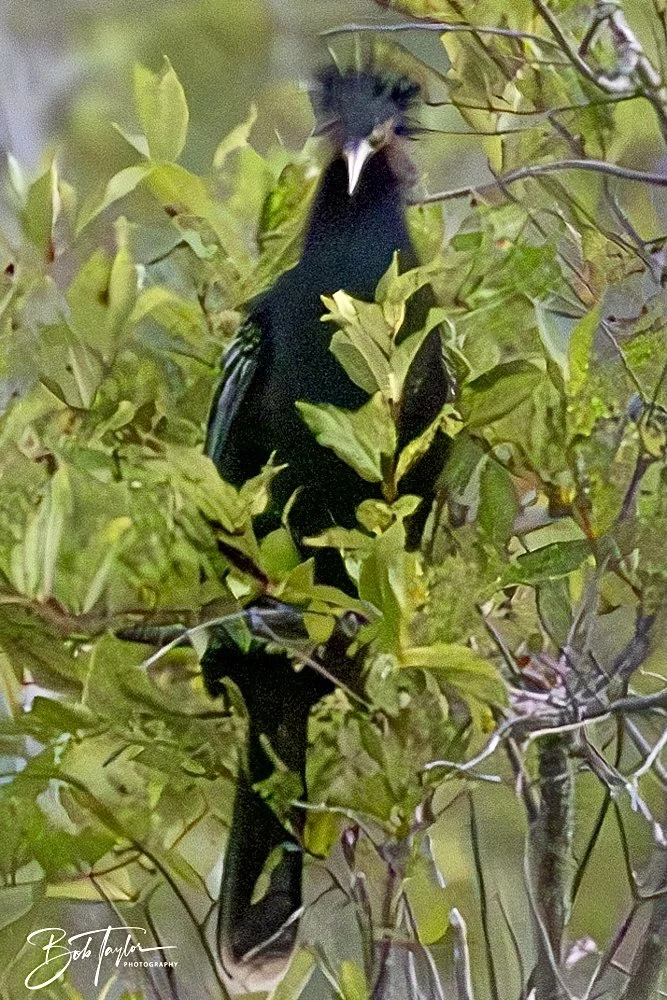 20240613-SASP Jun 24 -57.jpeg