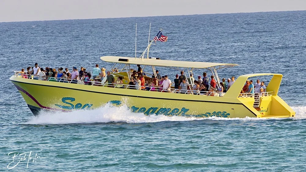 20240613-SASP Jun 24 -40.jpeg