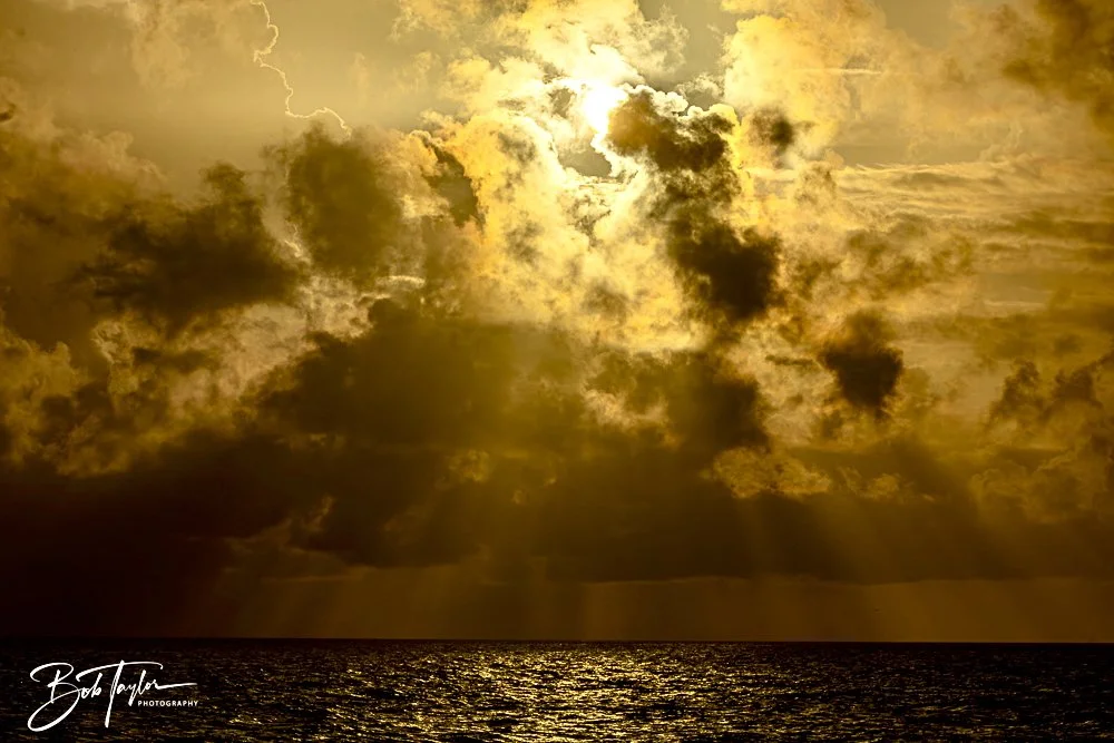 20240628-SASP People -24.jpeg