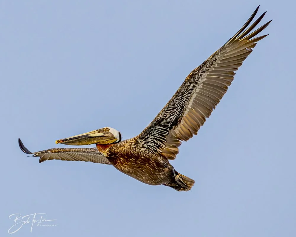 20240613-SASP Jun 24 -44.jpeg