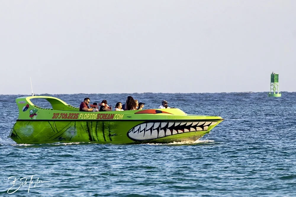 20240613-SASP Jun 24 -37.jpeg