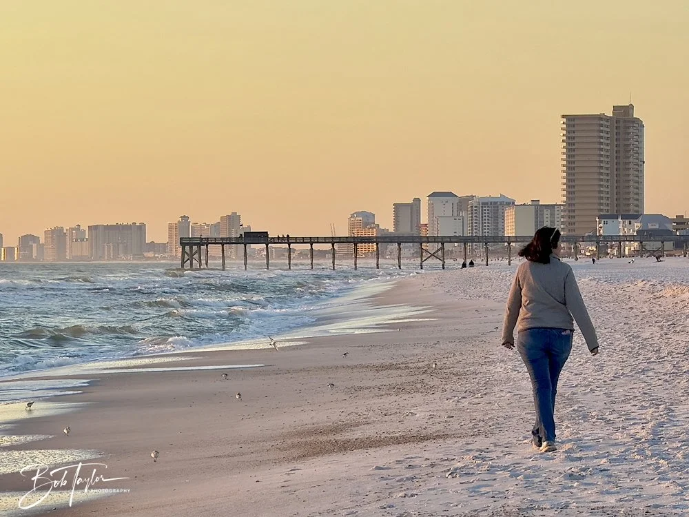 2-Library - 4 of 4-topaz-1.jpeg