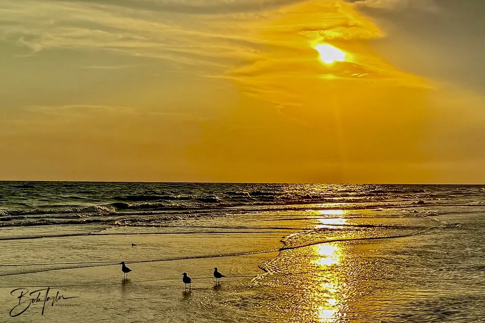 20240625-SASP Sunset Pier -1.jpeg