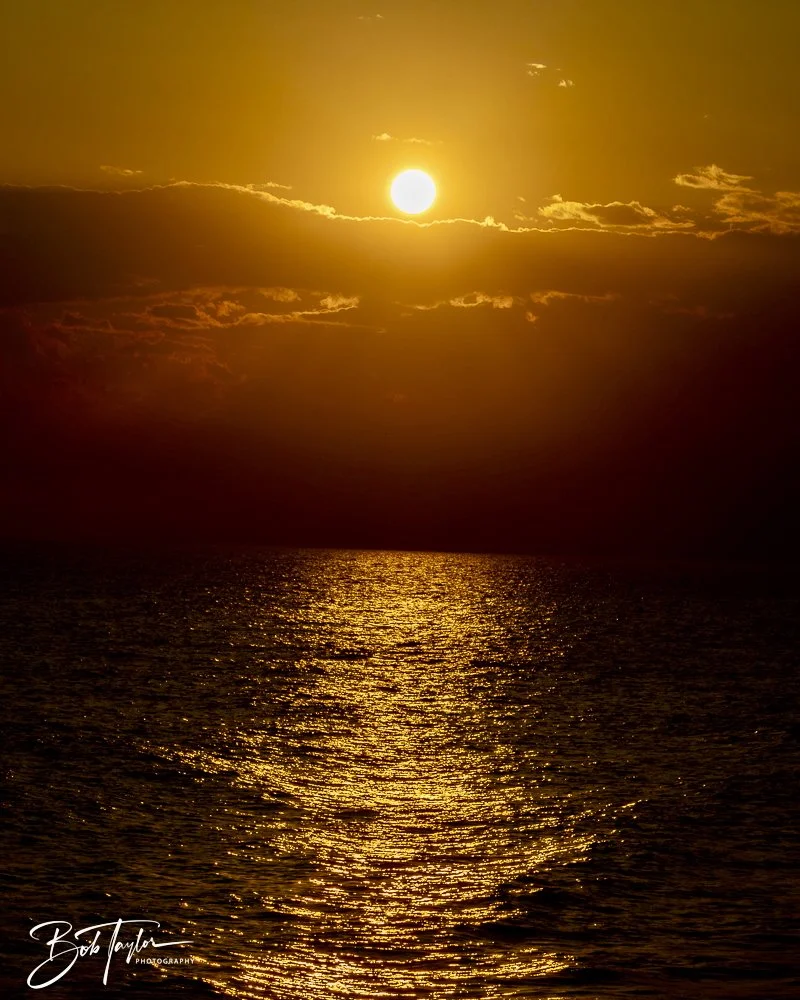 20240613-SASP Jun 24 -46.jpeg