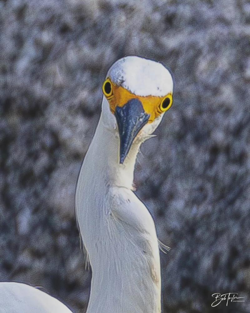 20240628-SASP People -2.jpeg