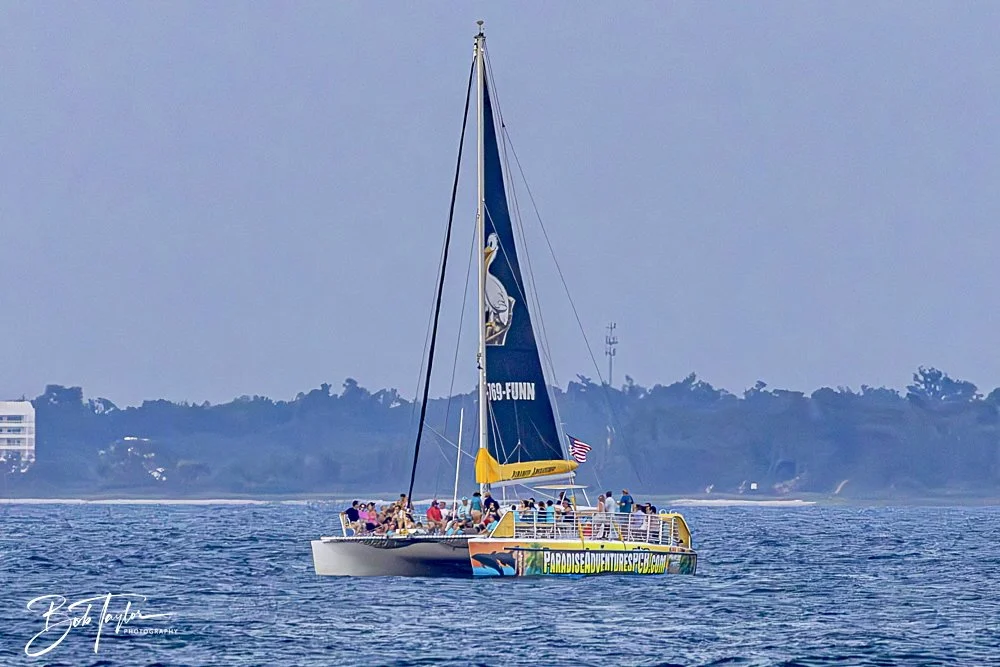 20240625-SASP People -5.jpeg