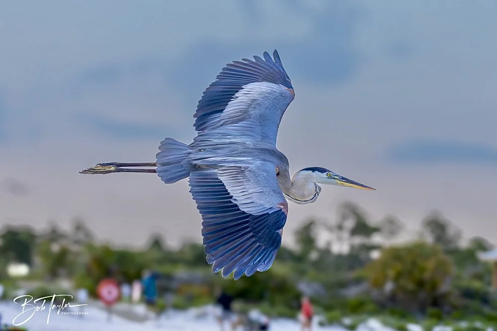 20240613-SASP Jun 24 -7.jpeg