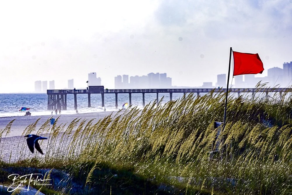 20240628-SASP People -13.jpeg