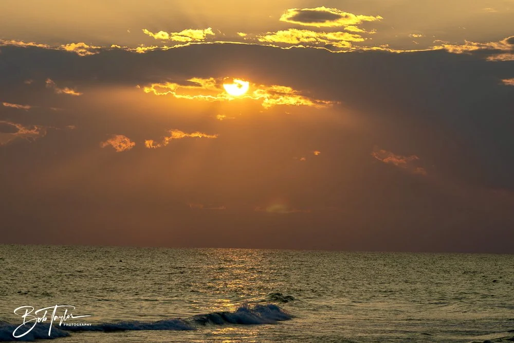 20240613-SASP Jun 24 -51.jpeg