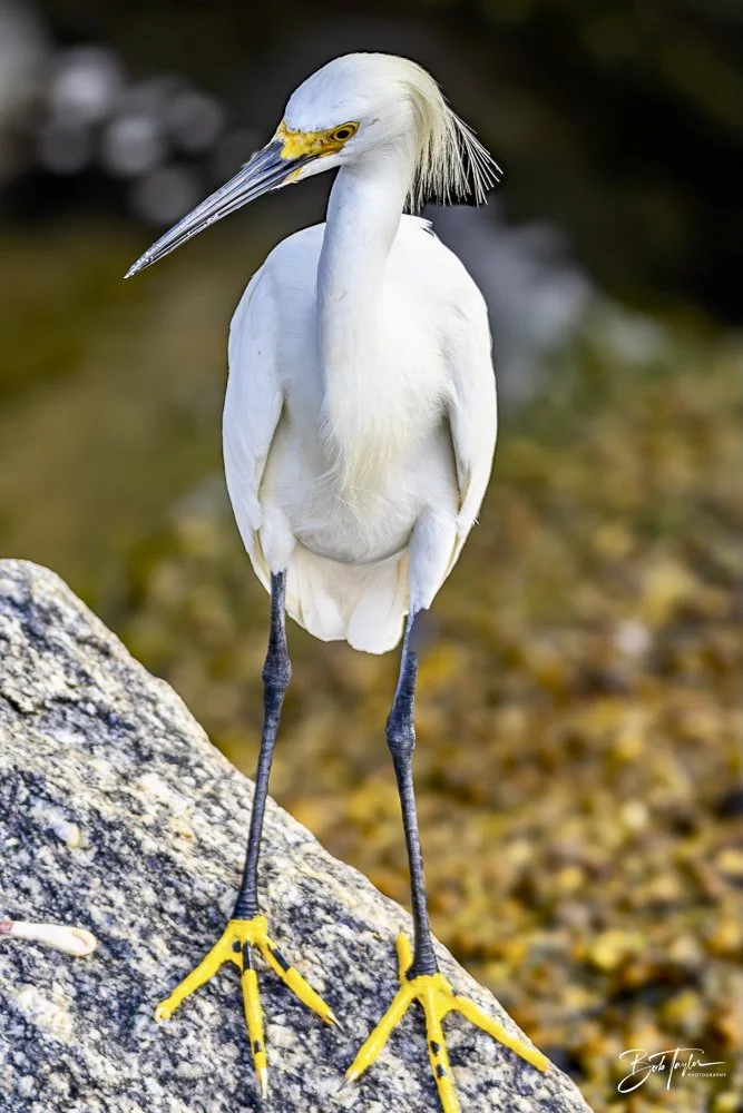 20240628-SASP People -3.jpeg