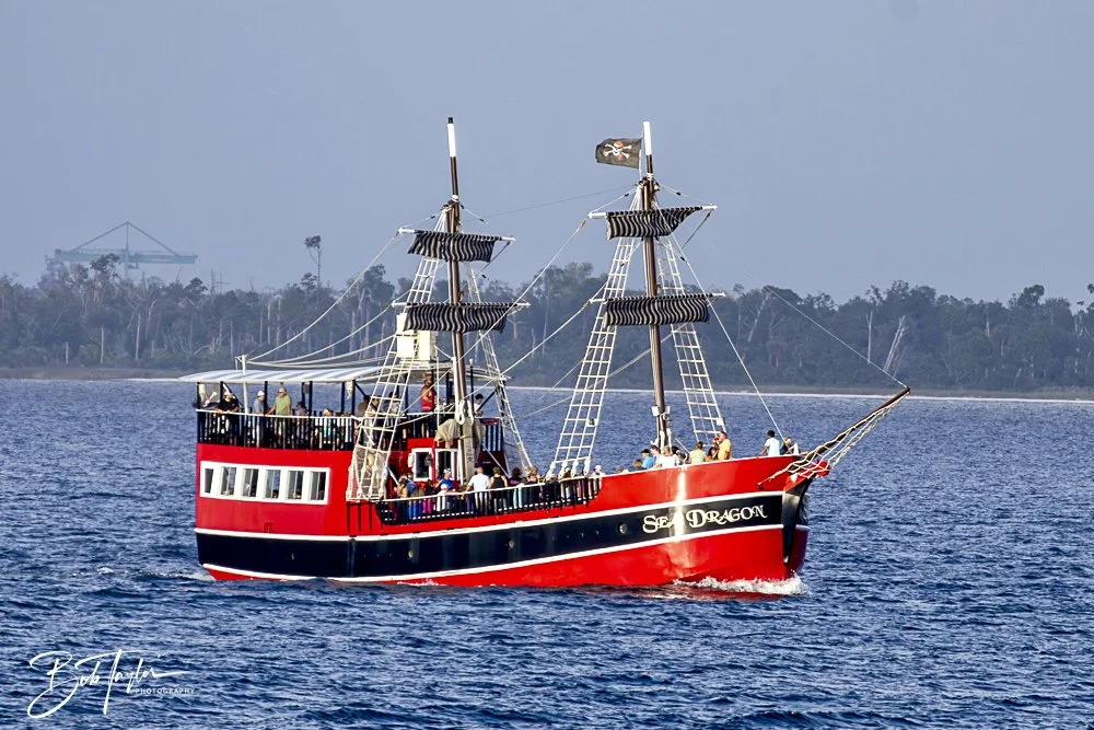 20240628-SASP People -11.jpeg