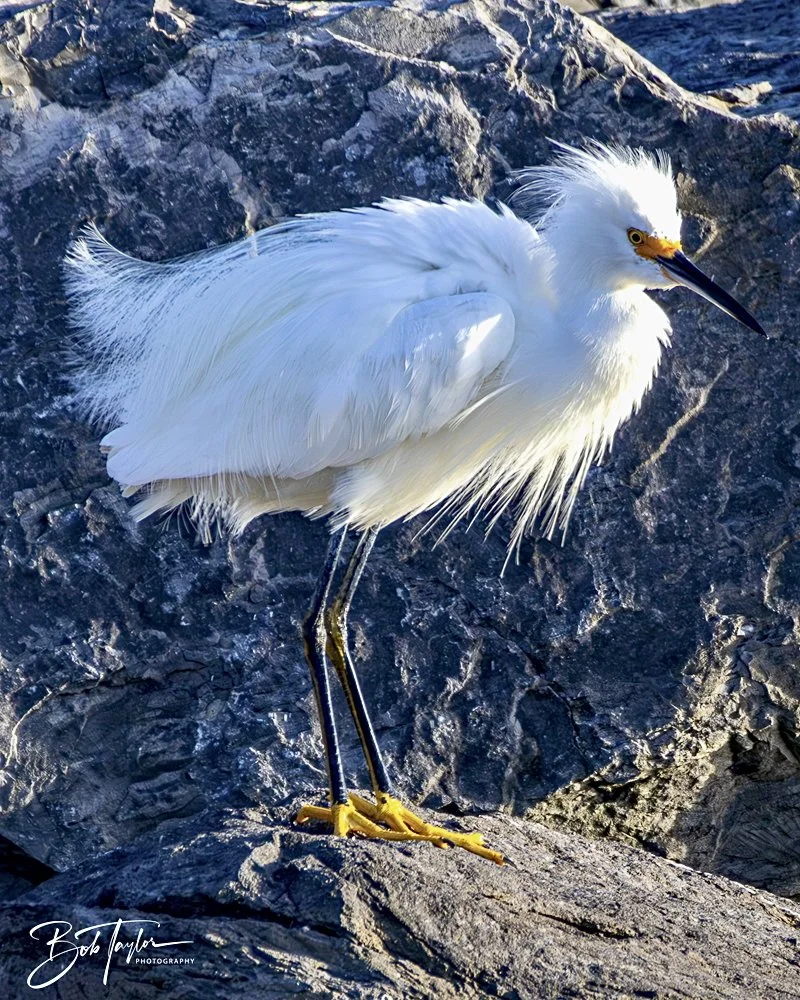 20240628-SASP People -23 (1).jpeg