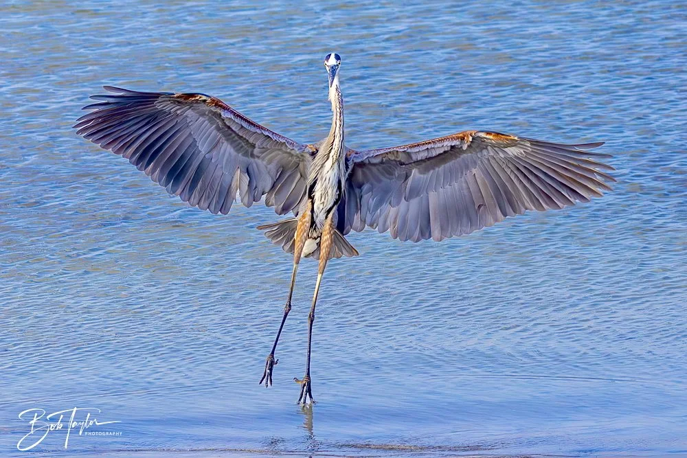 20240613-SASP Jun 24 -9.jpeg