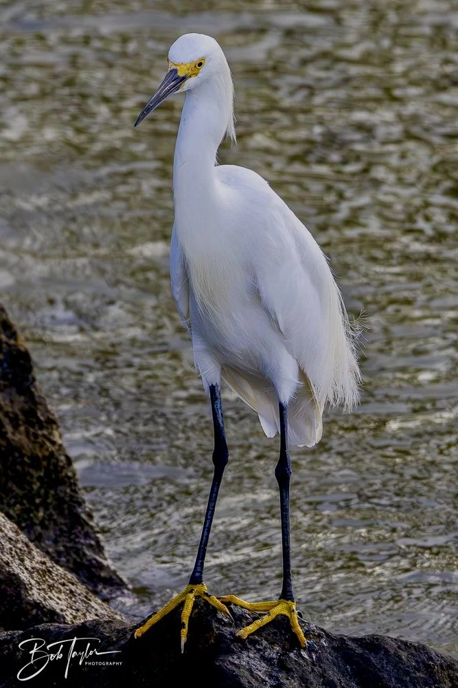 20240628-SASP People -8.jpeg