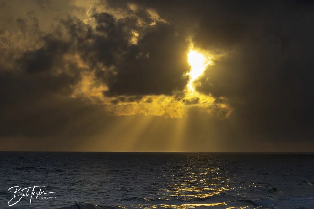 20240628-SASP People -31.jpeg