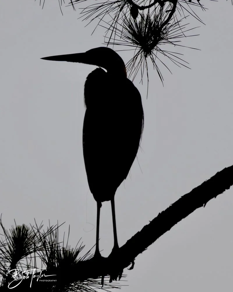 20240613-SASP Jun 24 -56.jpeg