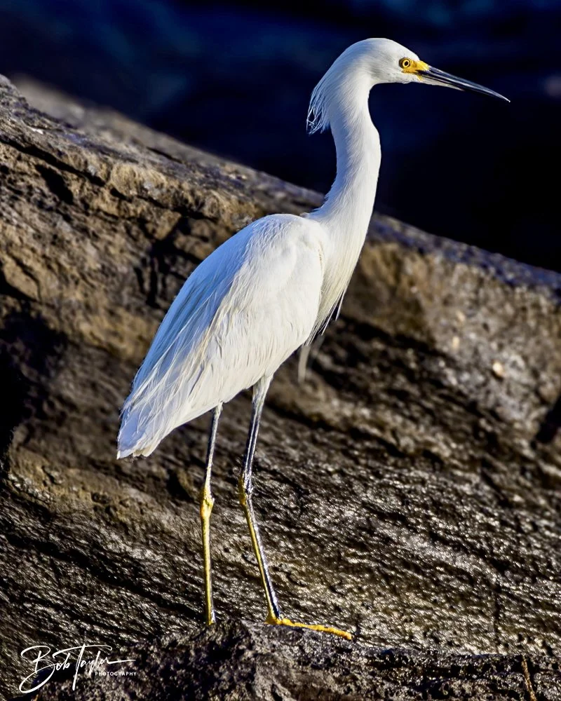 20240628-SASP People -25 (1).jpeg