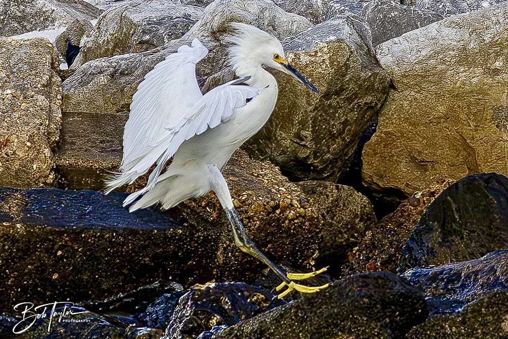 20240628-SASP People -7.jpeg