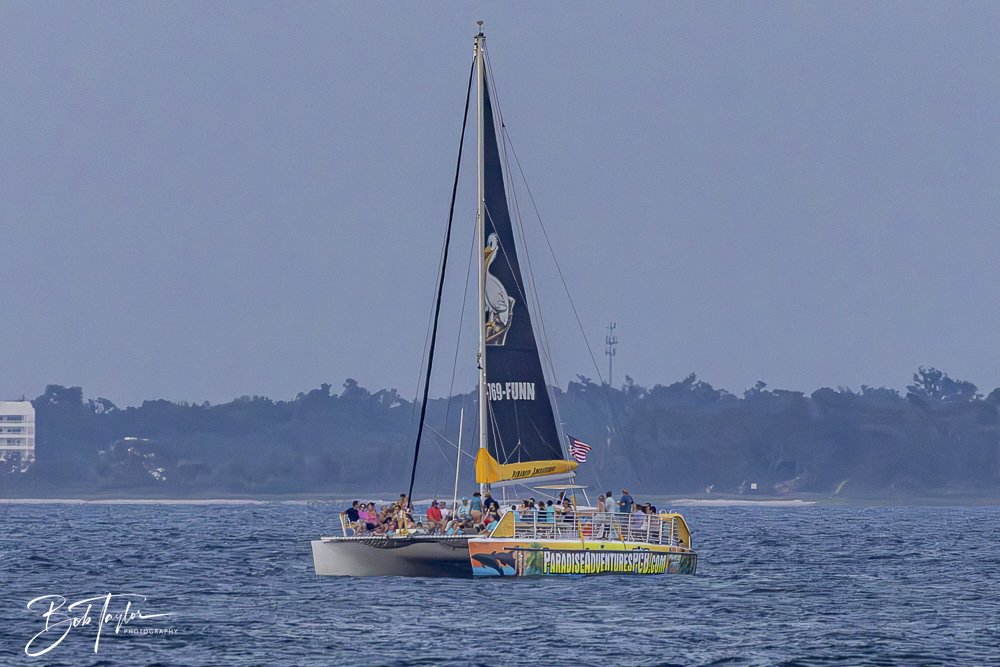 20240625-SASP People -4 (1).jpeg