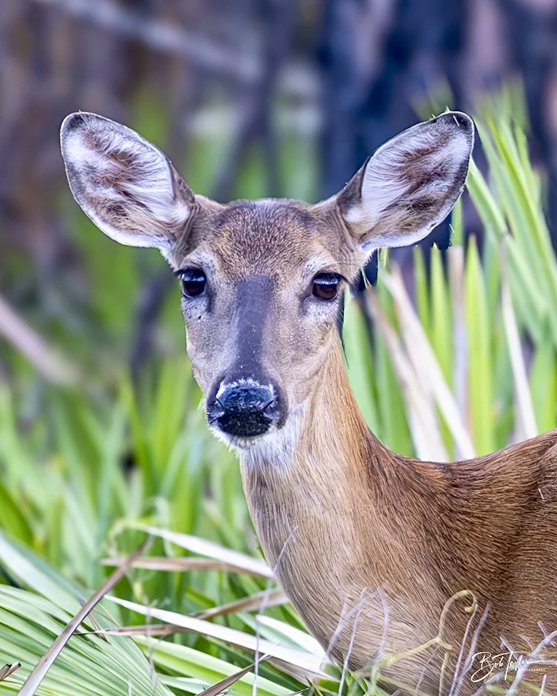 20240628-SASP People -4.jpeg