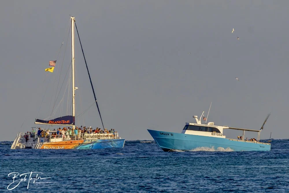 20240613-SASP Jun 24 -36.jpeg