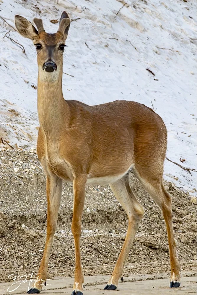 20240613-SASP Jun 24 -53.jpeg